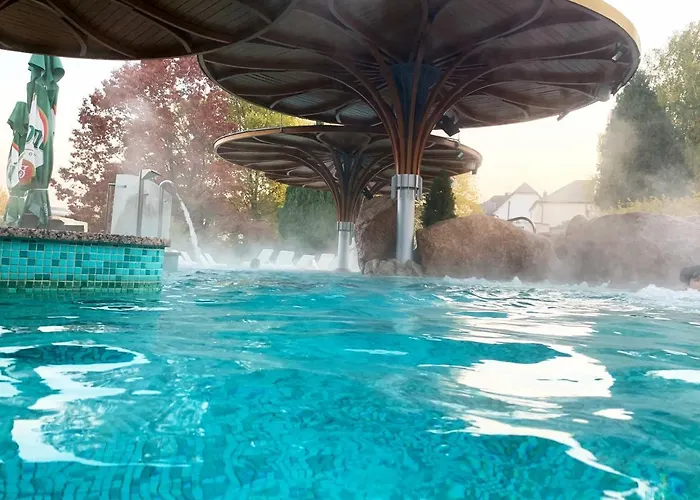 Carbona 205 * ヘーヴィーズ